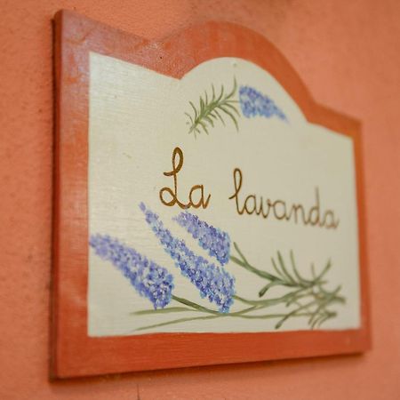 Homeforguest Cosy Rural Flat La Lavanda Surrounded By Nature 타코론테 외부 사진