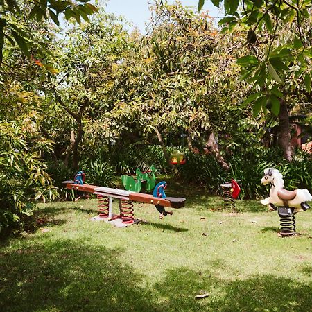 Homeforguest Cosy Rural Flat La Lavanda Surrounded By Nature 타코론테 외부 사진