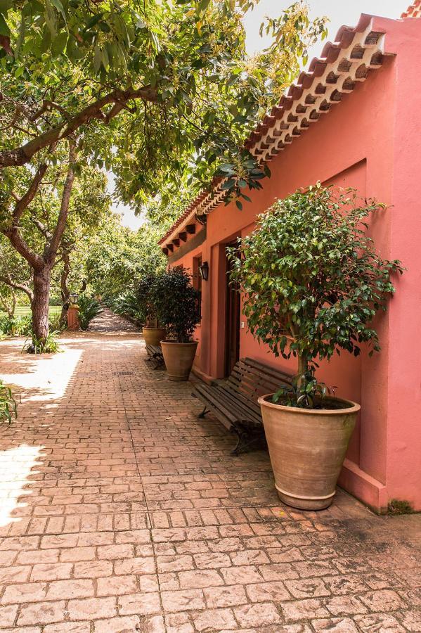 Homeforguest Cosy Rural Flat La Lavanda Surrounded By Nature 타코론테 외부 사진
