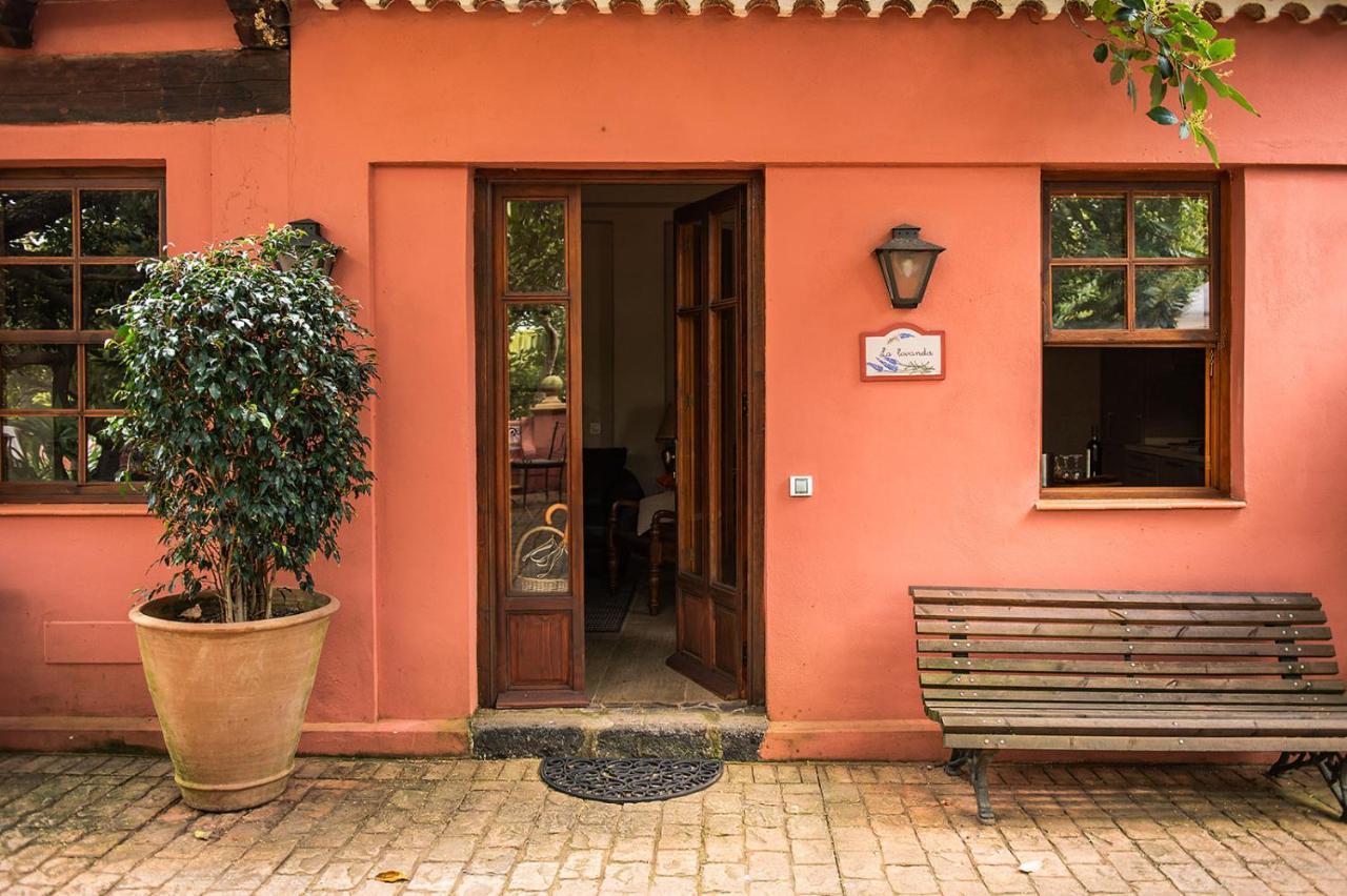 Homeforguest Cosy Rural Flat La Lavanda Surrounded By Nature 타코론테 외부 사진