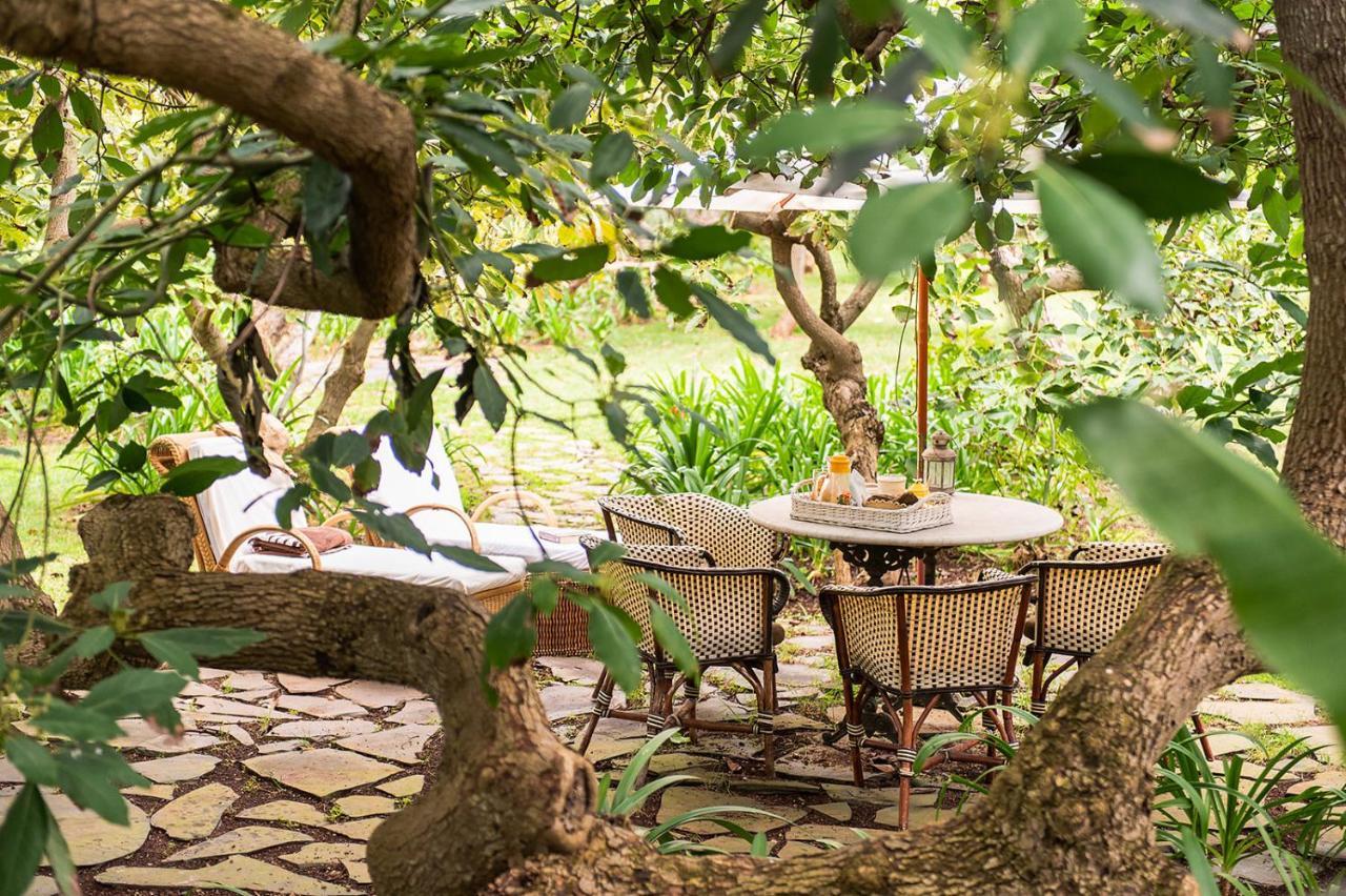 Homeforguest Cosy Rural Flat La Lavanda Surrounded By Nature 타코론테 외부 사진