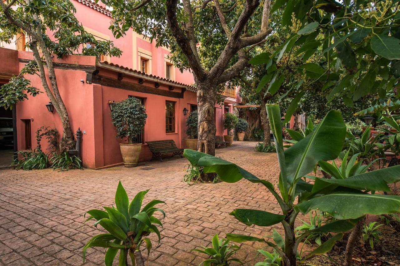 Homeforguest Cosy Rural Flat La Lavanda Surrounded By Nature 타코론테 외부 사진