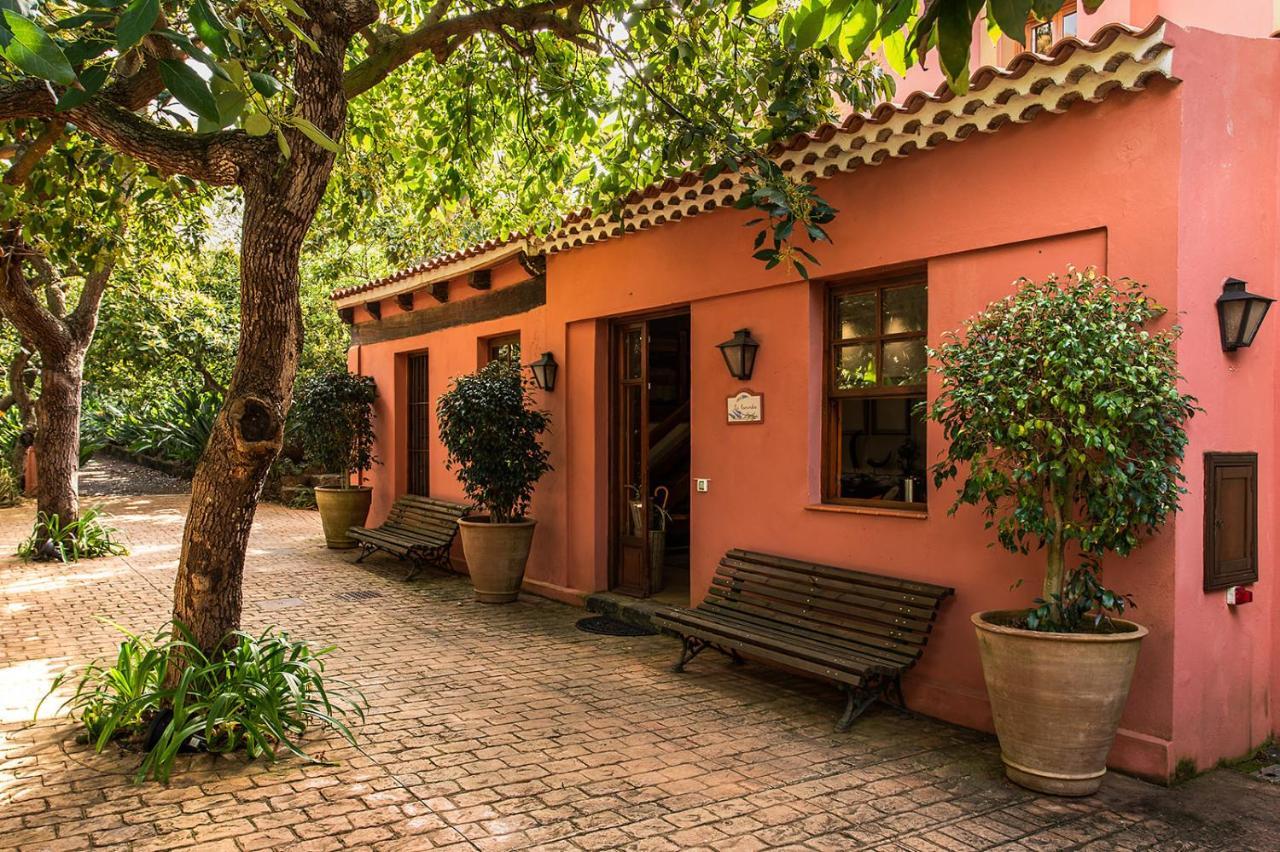 Homeforguest Cosy Rural Flat La Lavanda Surrounded By Nature 타코론테 외부 사진
