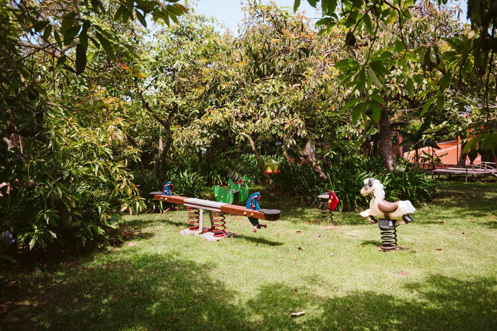 Homeforguest Cosy Rural Flat La Lavanda Surrounded By Nature 타코론테 외부 사진