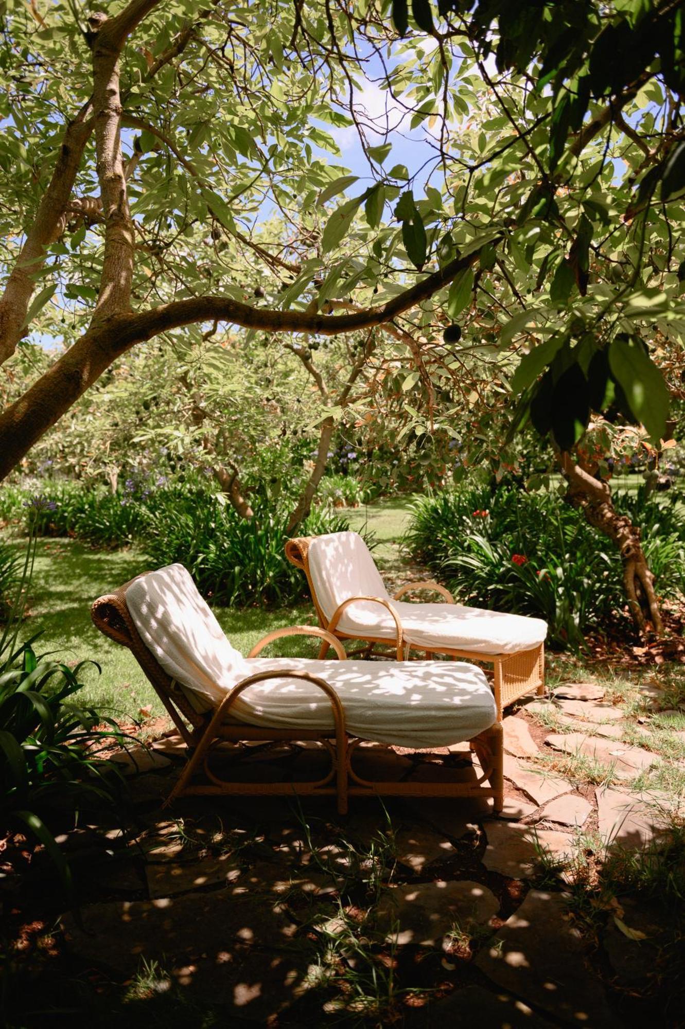 Homeforguest Cosy Rural Flat La Lavanda Surrounded By Nature 타코론테 외부 사진